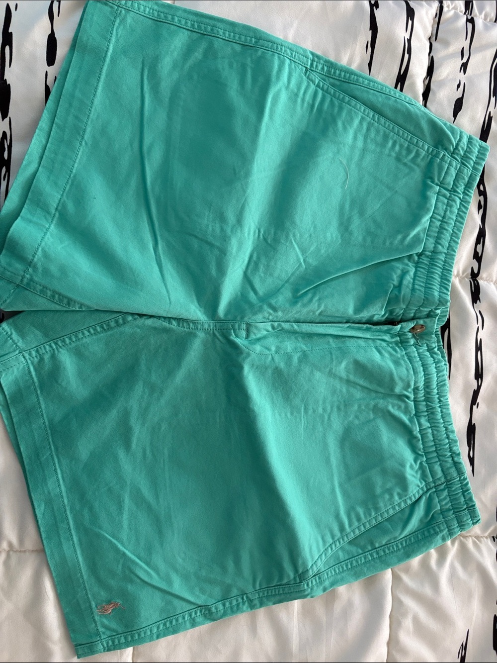 Polo by Ralph Lauren Turquoise Men’s Elastic-Waist Shorts